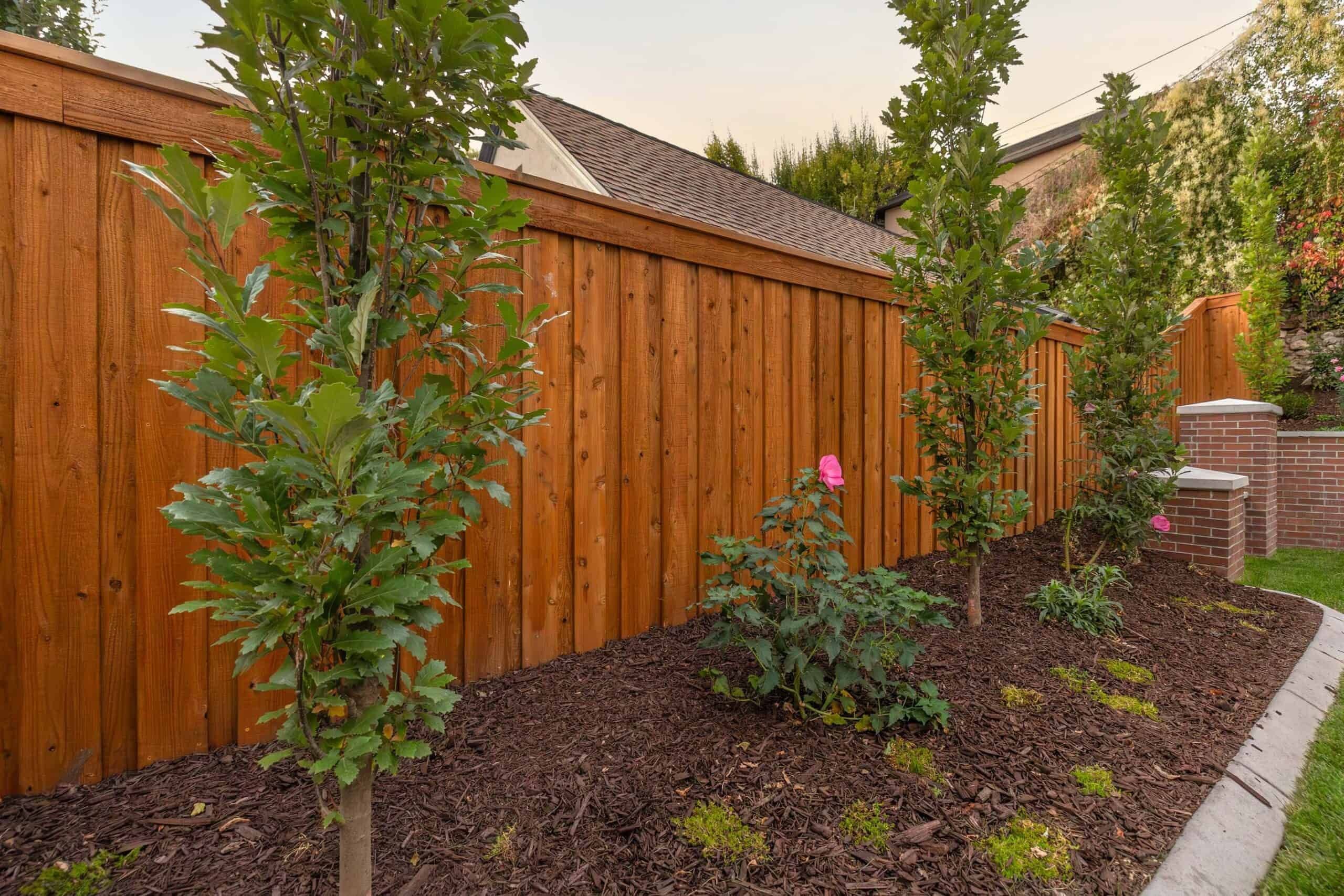 Plants and Softscape